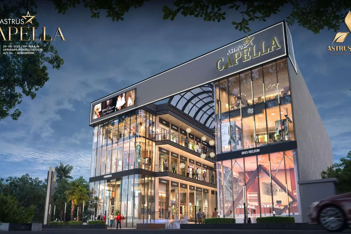 Astrus Capella - Gallery Image 2